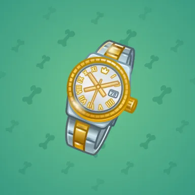Swiss Watch #20227