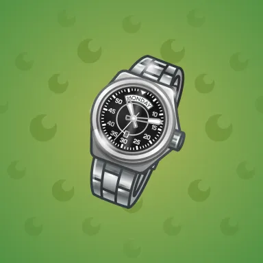 Swiss Watch