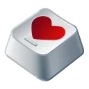Input Key
